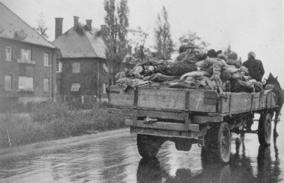 City of Dachau, Germany A horse-drawn cart carrying bodies of Dachau prisoners through the town, May 1945 — photographed by American forces