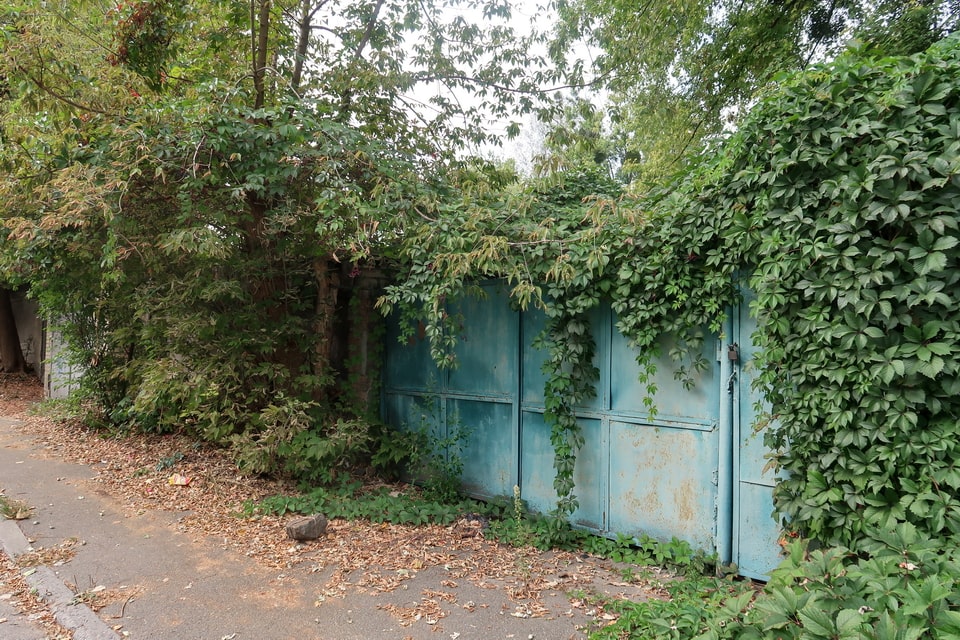 Oranzhereyna Street Babi Yar