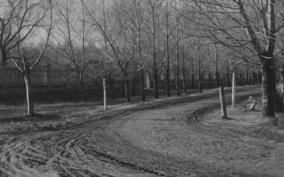 Kagatna (later Hohlov Family) Street Babyn yar