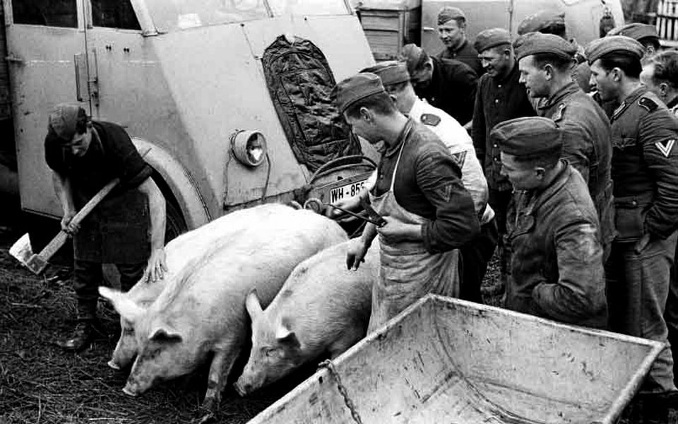 Ukrainian peasants who survived forced collectivisation hid livestock from German requisition teams, 1941–1943 — the Nazi occupation replicated many features of Soviet exploitation