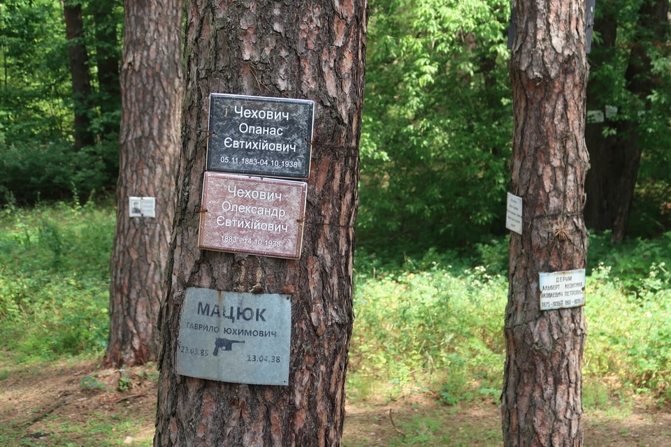 Bykivnia forest