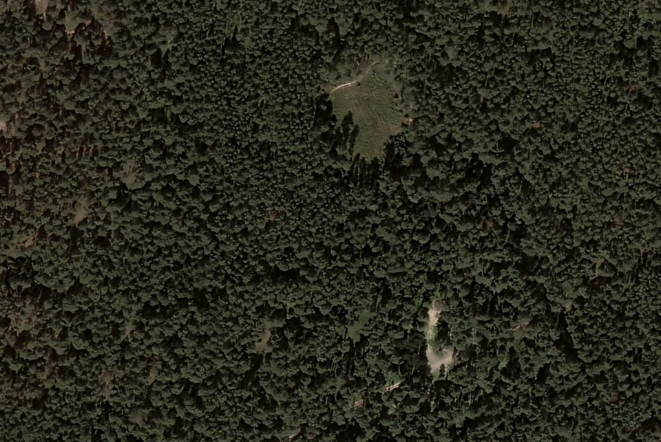 Bykivnia forest in 2011