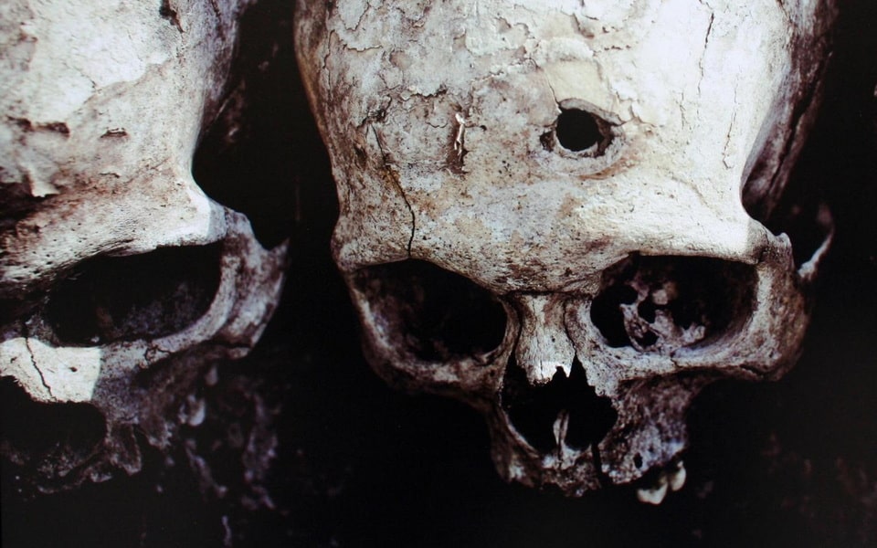 Photo of the skull revealed in Bykivnia