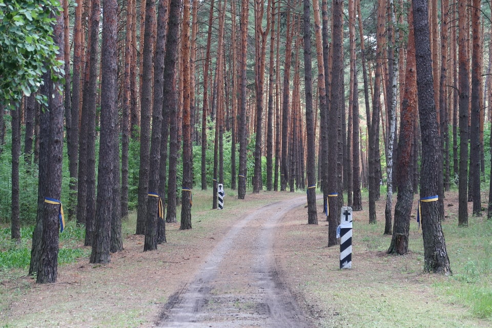 The road leading from the Brovary road to Bykivnia