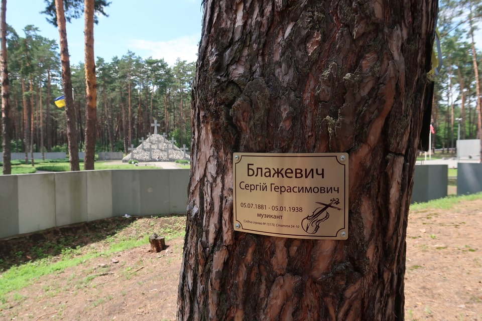 Bykivnia forest today