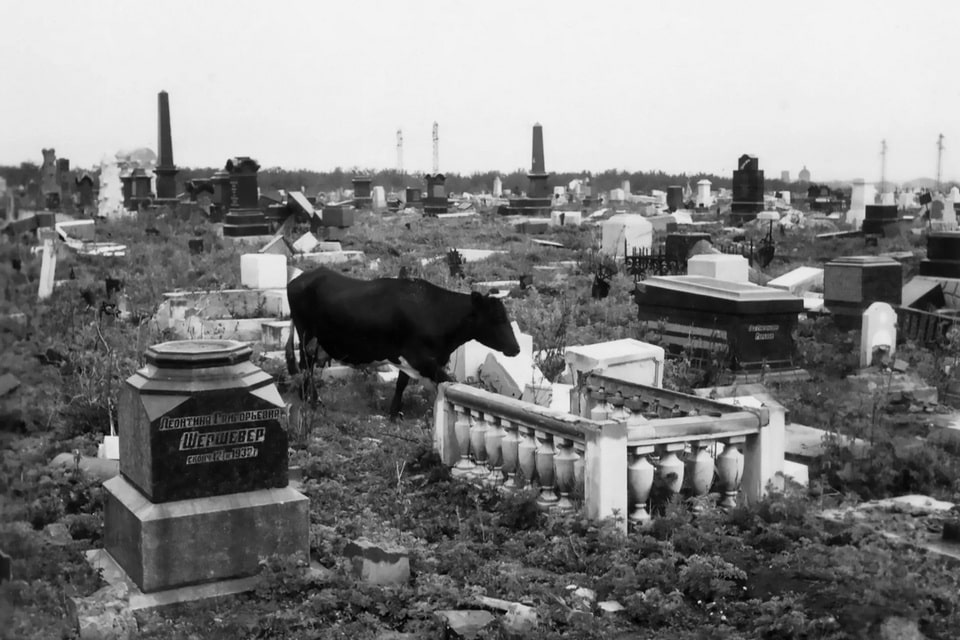New Jewish Cemetery after the occupation