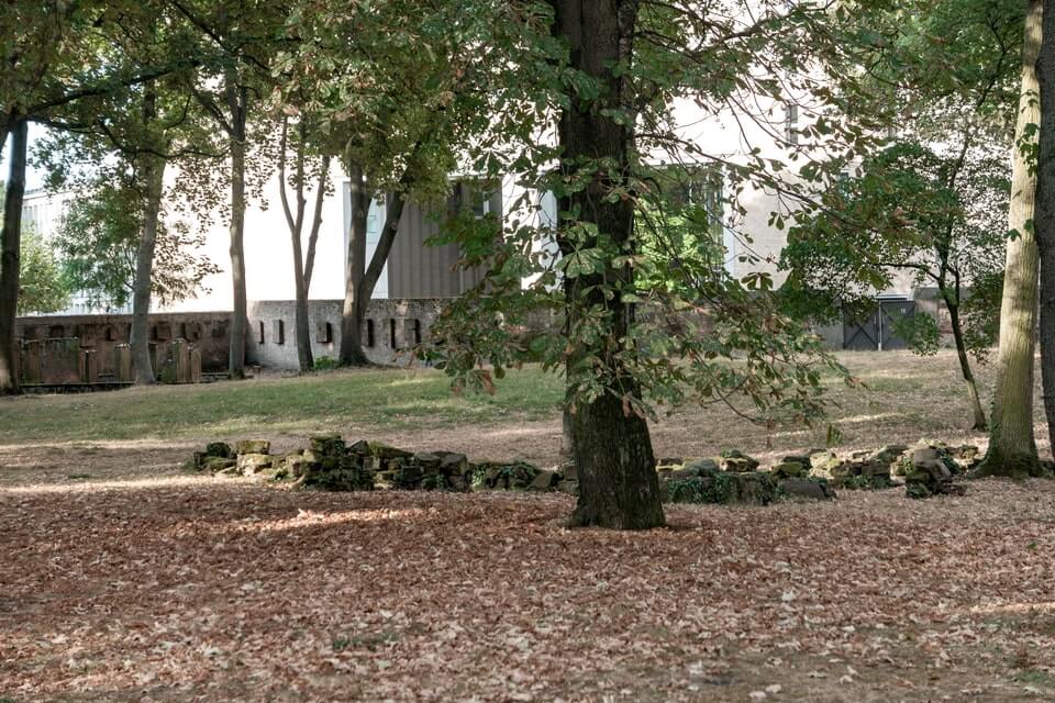 Jewish Cemetery Borneplatz Frankfurt am main