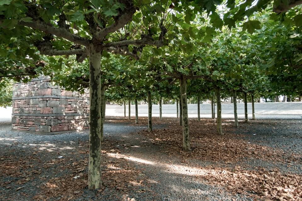 Borneplatz memorial Holocaust Frankfurt
