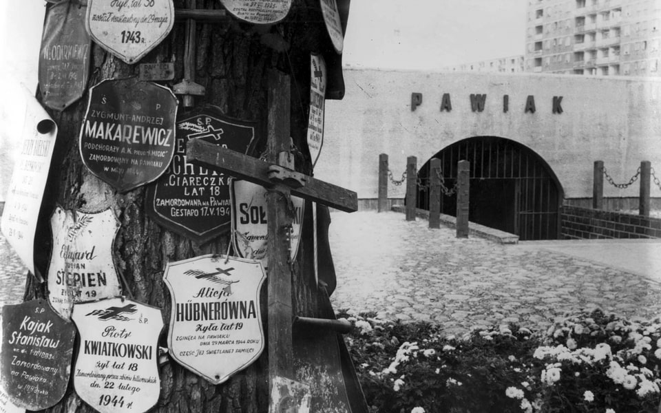 The famous Pawiak memorial tree