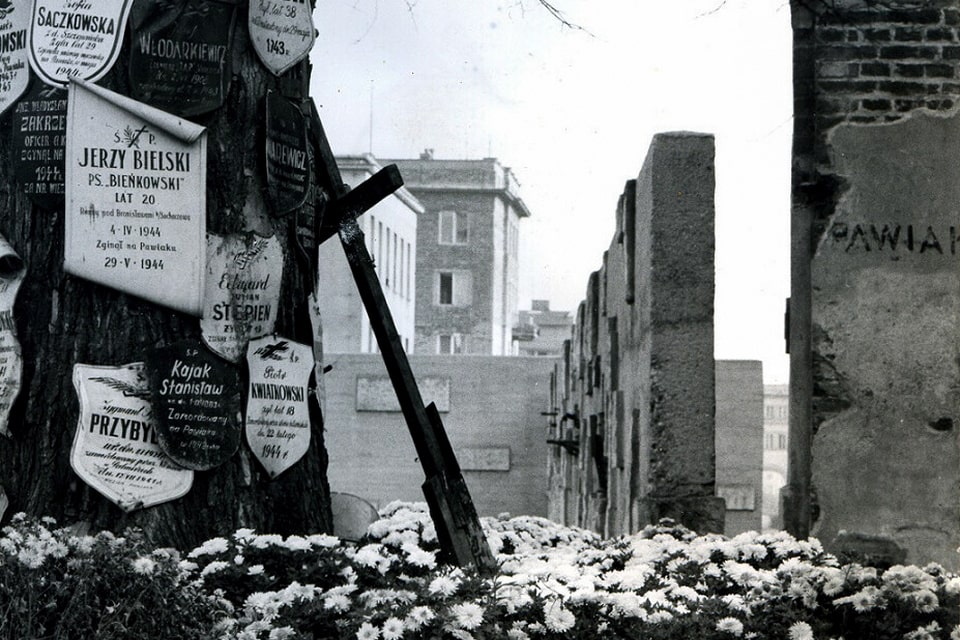 Years 1960-1965 , Pawiak with a monument tree.