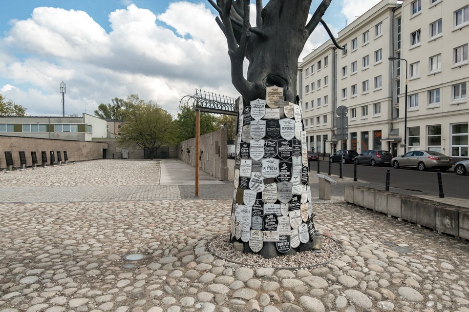 The Pawiak Elm tree memorial in Warsaw today