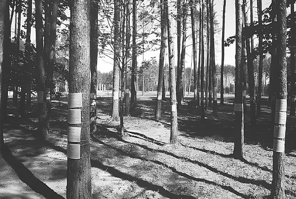 Nowhere did more Austrians die in the Shoah than in the Blagovchina woods outside Maly Trostinets, near Minsk. The memorial commemorates the ca. 10,000 victims. 1