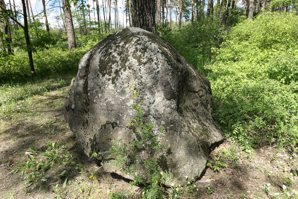 The forrest near the camp and the Soviet memoria