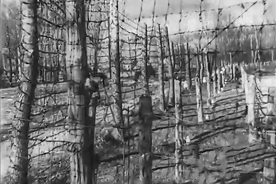 the outer perimeter in Stalag 339