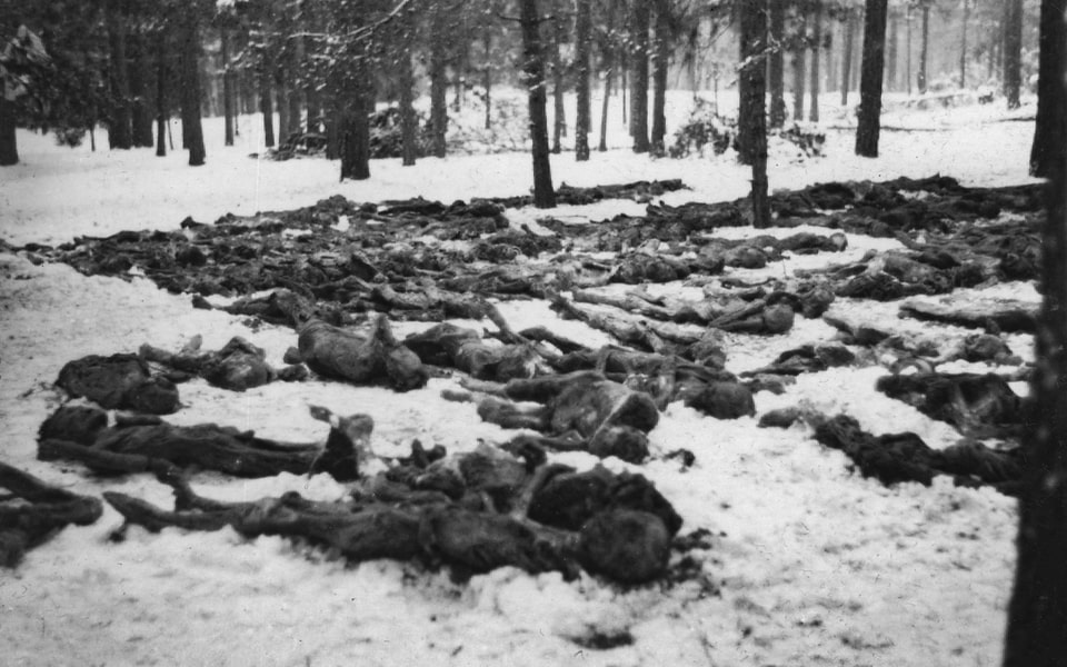 Dead bodies in the Darnytsia forest