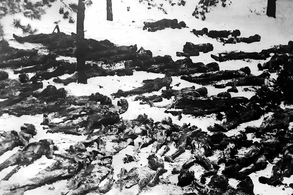 Dead bodies on the terriotory of Darnytsia pow camp.